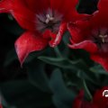 IMG_768016
