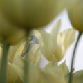 IMG_768018