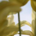IMG_768019