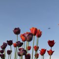 IMG_768032