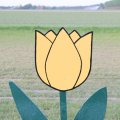IMG_768035
