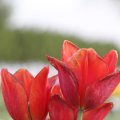 IMG_768062