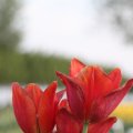 IMG_768063