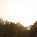 IMG_768073