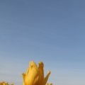 IMG_768076