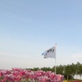 IMG_768078