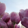 IMG_768088