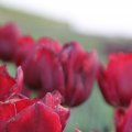 IMG_768102
