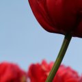 IMG_768107