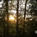 IMG_768144