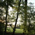 IMG_768146