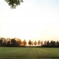 IMG_768150
