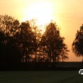 IMG_768151