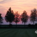 IMG_768161
