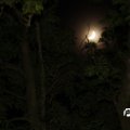 IMG_768174