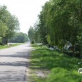 IMG_768203