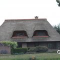 IMG_768347