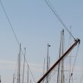 IMG_768358