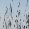 IMG_768360