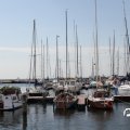 IMG_768366
