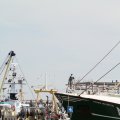 IMG_768369