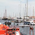 IMG_768385
