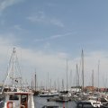 IMG_768391