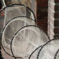 IMG_768393