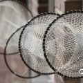 IMG_768395