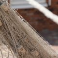 IMG_768397