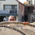 IMG_768403