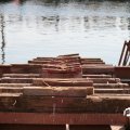 IMG_768409