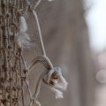 IMG_768419