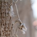 IMG_768420