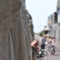 IMG_768421