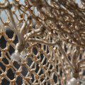 IMG_768422