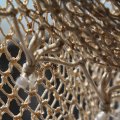 IMG_768423