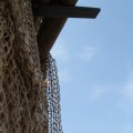 IMG_768424