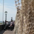 IMG_768426