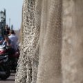 IMG_768427