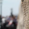 IMG_768429