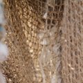 IMG_768431