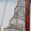 IMG_768434