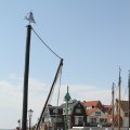 IMG_768439