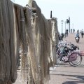IMG_768443