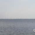 IMG_768469
