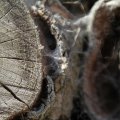 IMG_768473