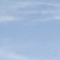 IMG_768476