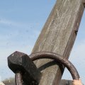 IMG_768477