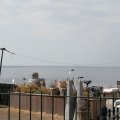 IMG_768480